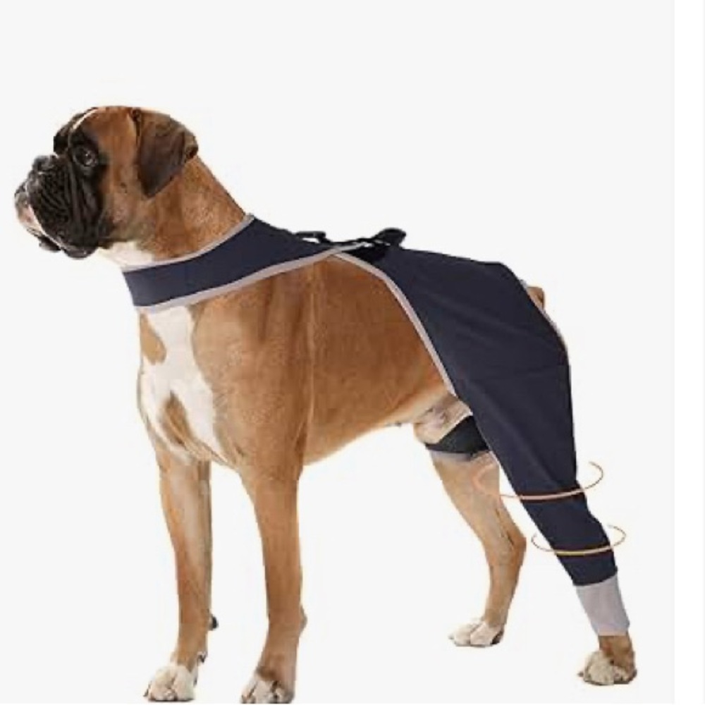 Black Dog Recovery Suit